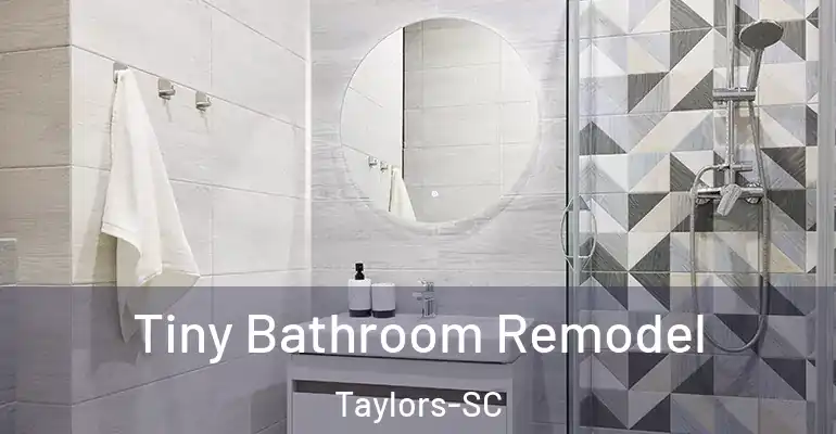 inner Bathroom imggen Tiny Bathroom Remodel Taylors-SC