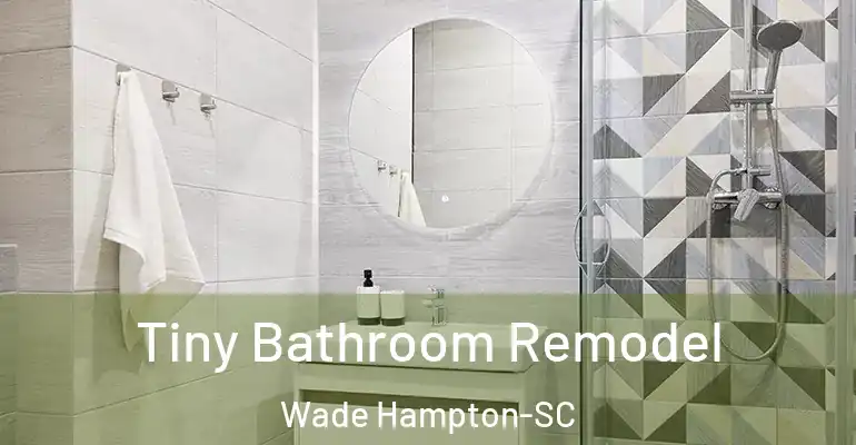 inner Bathroom imggen Tiny Bathroom Remodel Wade Hampton-SC