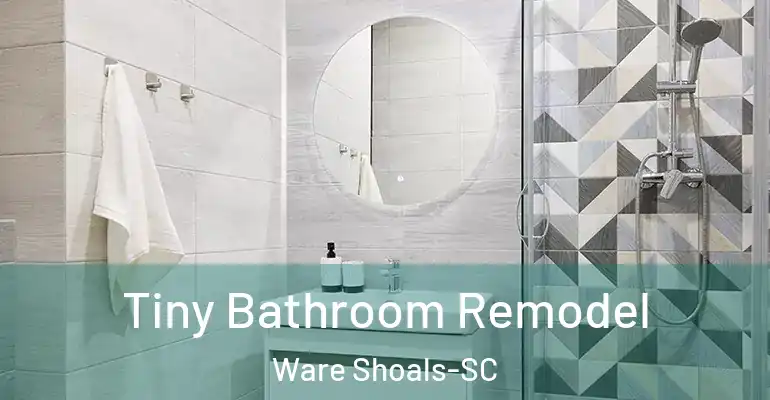 inner Bathroom imggen Tiny Bathroom Remodel Ware Shoals-SC
