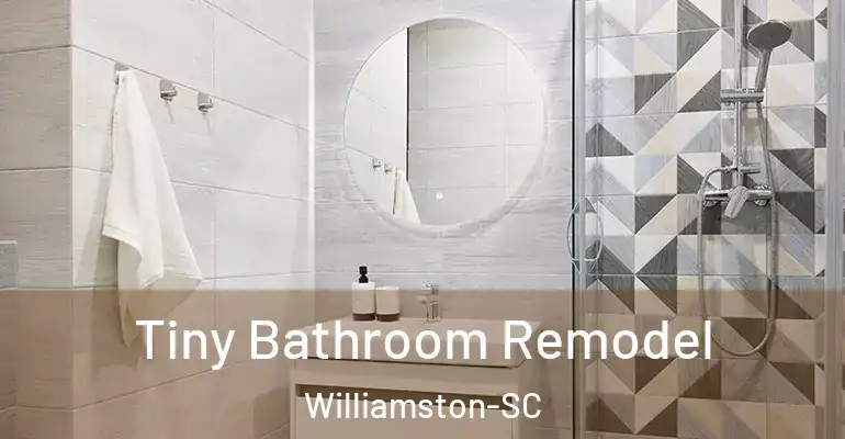 inner Bathroom imggen Tiny Bathroom Remodel Williamston-SC