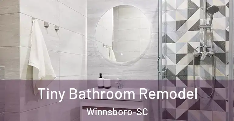 inner Bathroom imggen Tiny Bathroom Remodel Winnsboro-SC