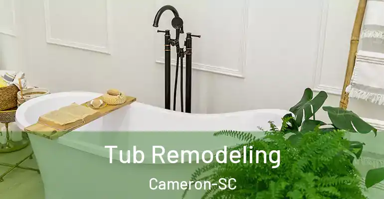 inner Bathroom imggen Tub Remodeling Cameron-SC