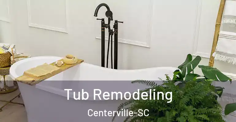inner Bathroom imggen Tub Remodeling Centerville-SC