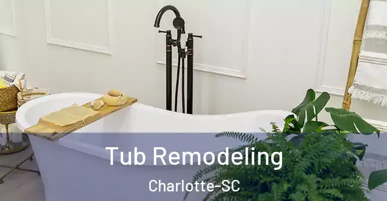 inner Bathroom imggen Tub Remodeling Charlotte-SC
