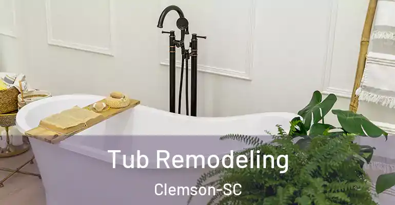 inner Bathroom imggen Tub Remodeling Clemson-SC