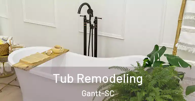 inner Bathroom imggen Tub Remodeling Gantt-SC