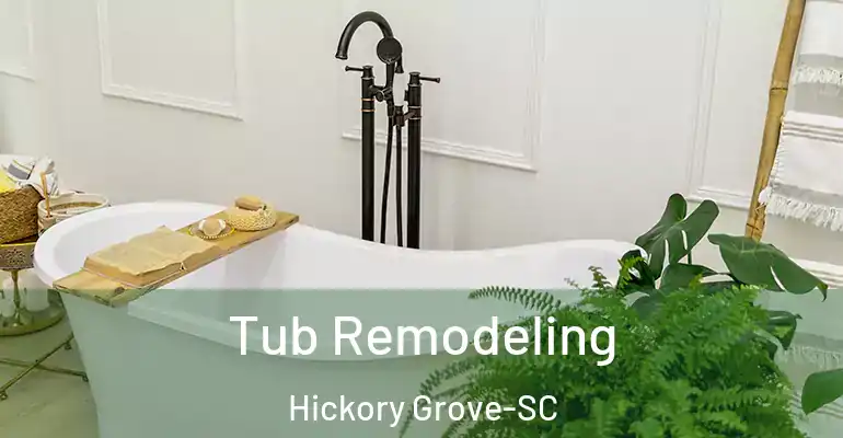 inner Bathroom imggen Tub Remodeling Hickory Grove-SC