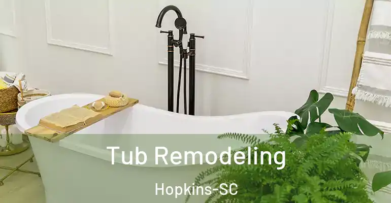 inner Bathroom imggen Tub Remodeling Hopkins-SC