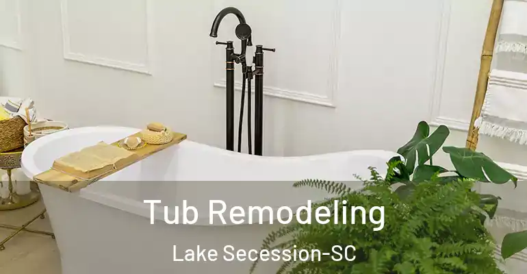 inner Bathroom imggen Tub Remodeling Lake Secession-SC