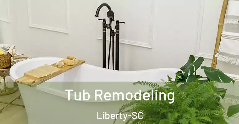 inner Bathroom imggen Tub Remodeling Liberty-SC