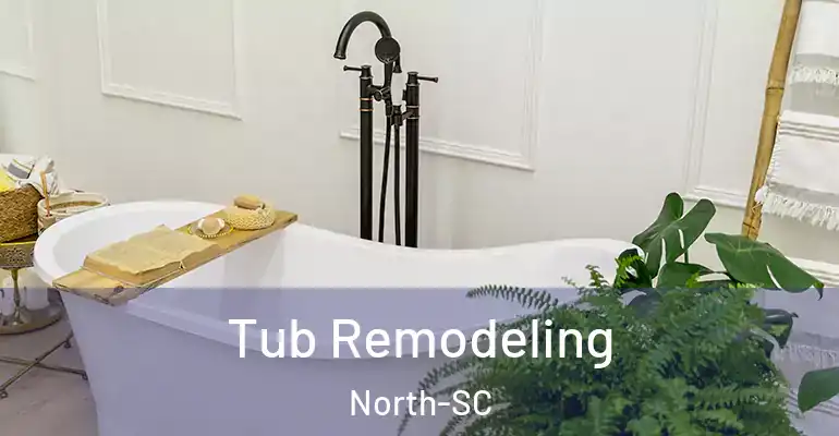 inner Bathroom imggen Tub Remodeling North-SC