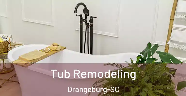 inner Bathroom imggen Tub Remodeling Orangeburg-SC