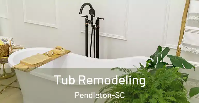 inner Bathroom imggen Tub Remodeling Pendleton-SC