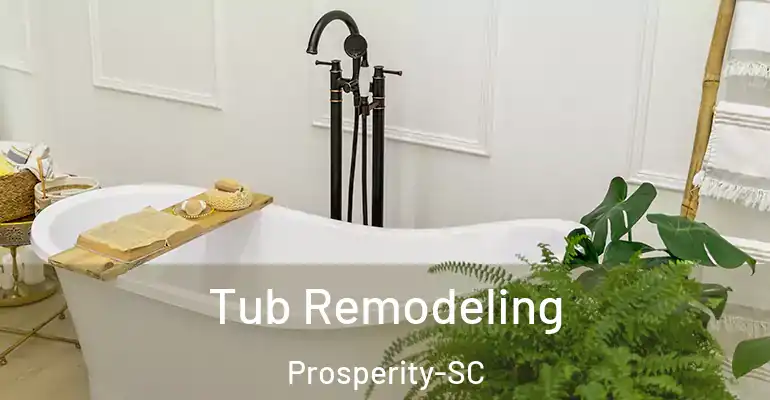 inner Bathroom imggen Tub Remodeling Prosperity-SC