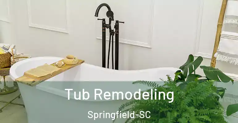 inner Bathroom imggen Tub Remodeling Springfield-SC