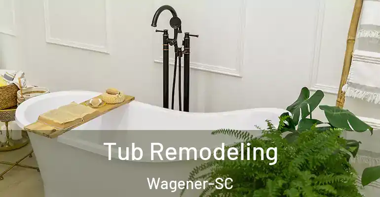 inner Bathroom imggen Tub Remodeling Wagener-SC