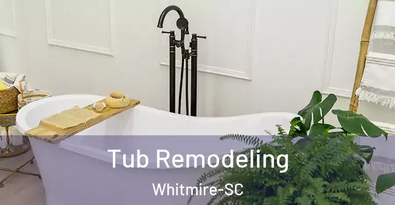 inner Bathroom imggen Tub Remodeling Whitmire-SC