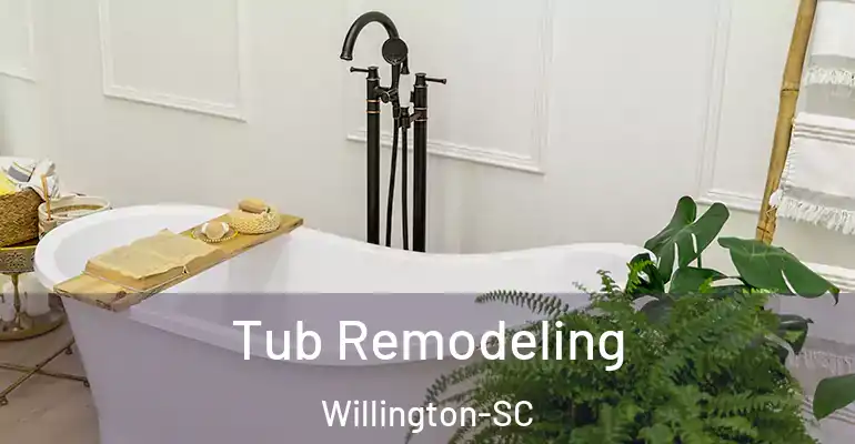 inner Bathroom imggen Tub Remodeling Willington-SC