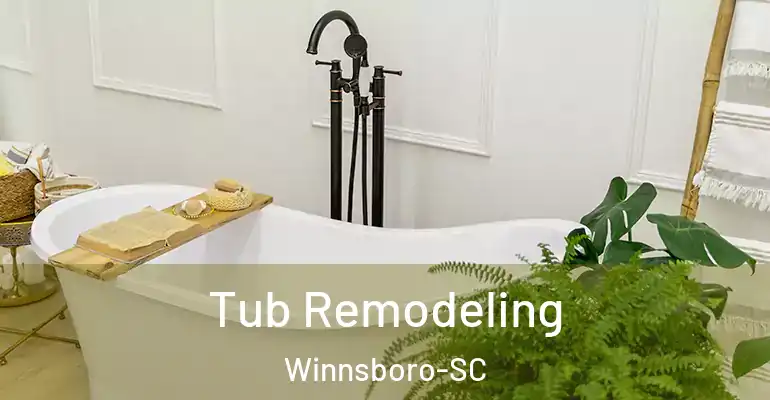 inner Bathroom imggen Tub Remodeling Winnsboro-SC