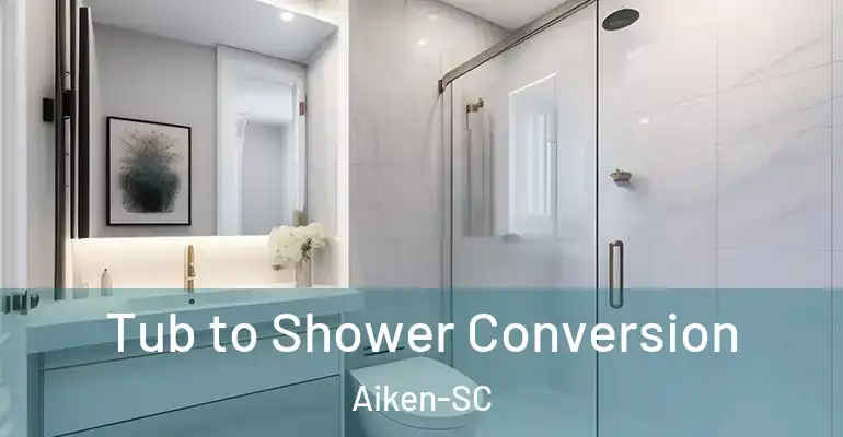 inner Bathroom imggen Tub to Shower Conversion Aiken-SC