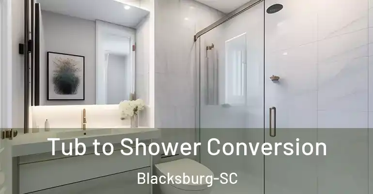 inner Bathroom imggen Tub to Shower Conversion Blacksburg-SC