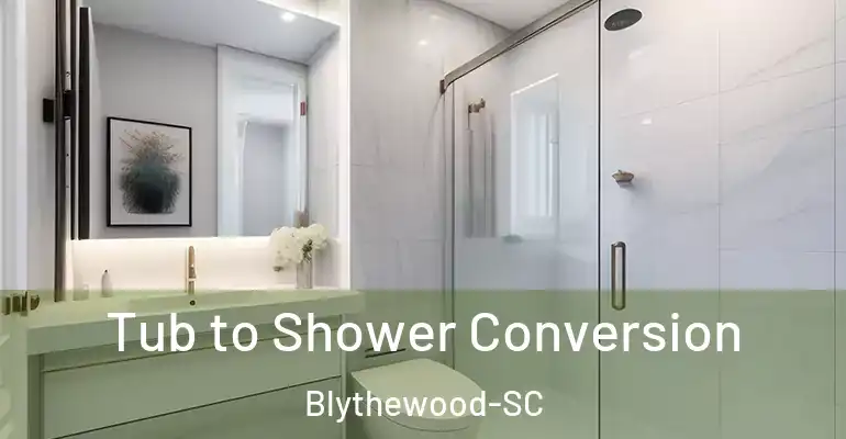 inner Bathroom imggen Tub to Shower Conversion Blythewood-SC