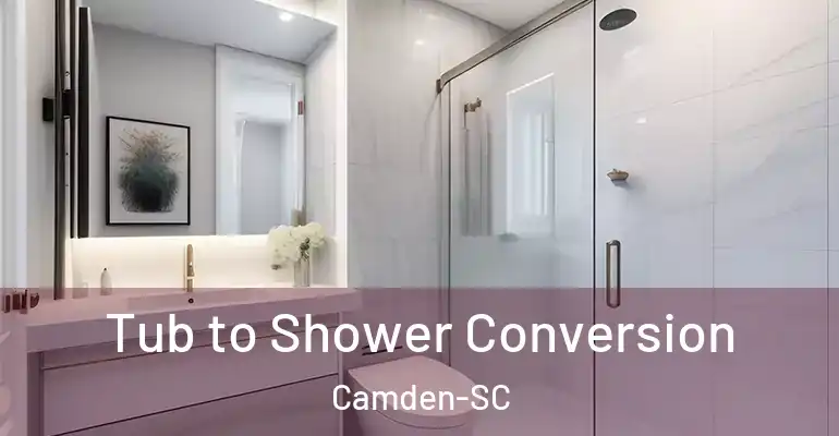inner Bathroom imggen Tub to Shower Conversion Camden-SC