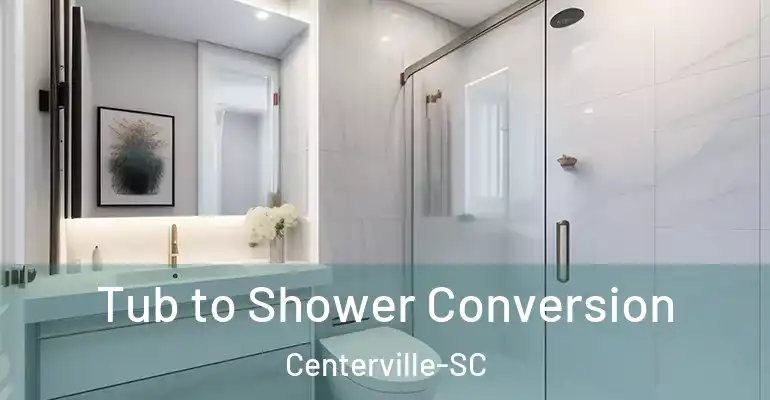 inner Bathroom imggen Tub to Shower Conversion Centerville-SC