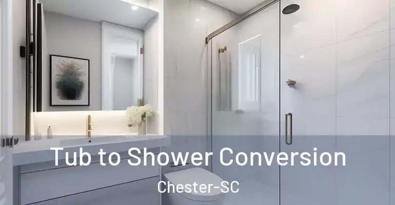 inner Bathroom imggen Tub to Shower Conversion Chester-SC