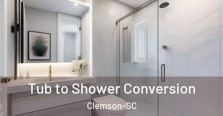 inner Bathroom imggen Tub to Shower Conversion Clemson-SC