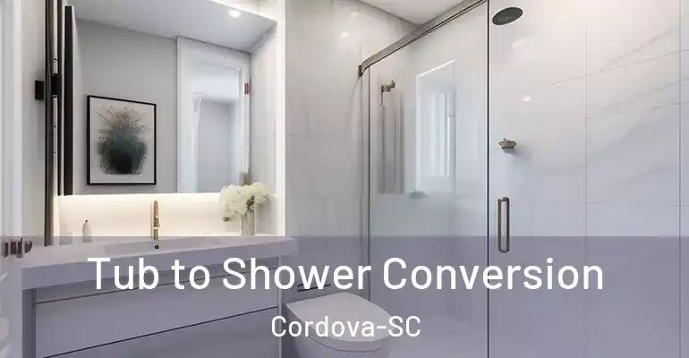 inner Bathroom imggen Tub to Shower Conversion Cordova-SC
