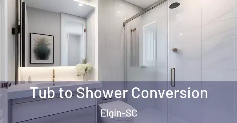 inner Bathroom imggen Tub to Shower Conversion Elgin-SC