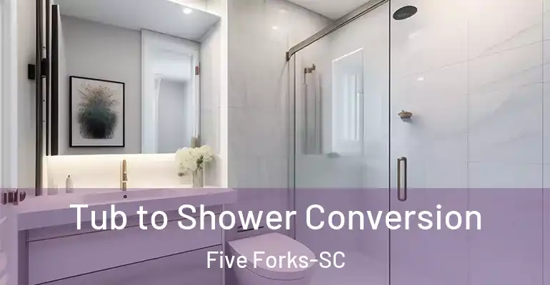 inner Bathroom imggen Tub to Shower Conversion Five Forks-SC