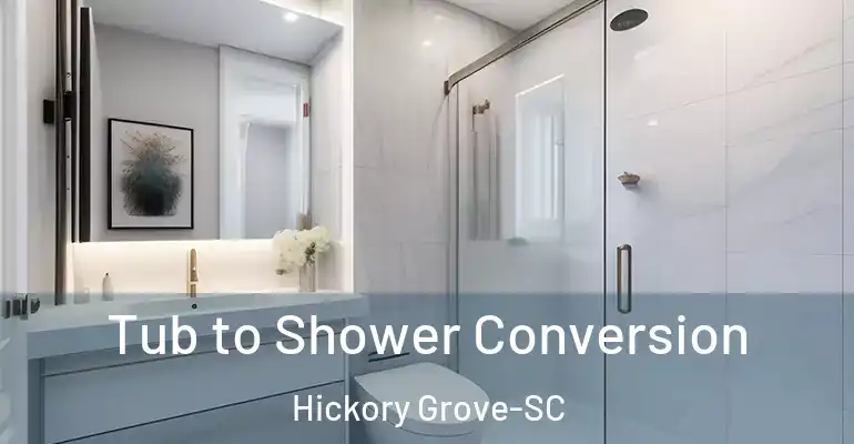 inner Bathroom imggen Tub to Shower Conversion Hickory Grove-SC