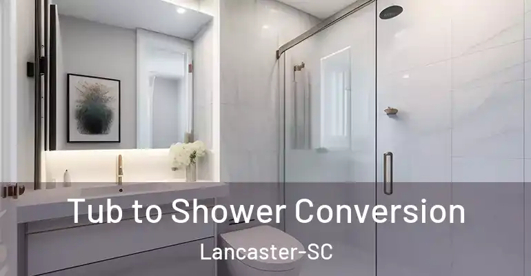 inner Bathroom imggen Tub to Shower Conversion Lancaster-SC