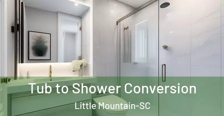 inner Bathroom imggen Tub to Shower Conversion Little Mountain-SC