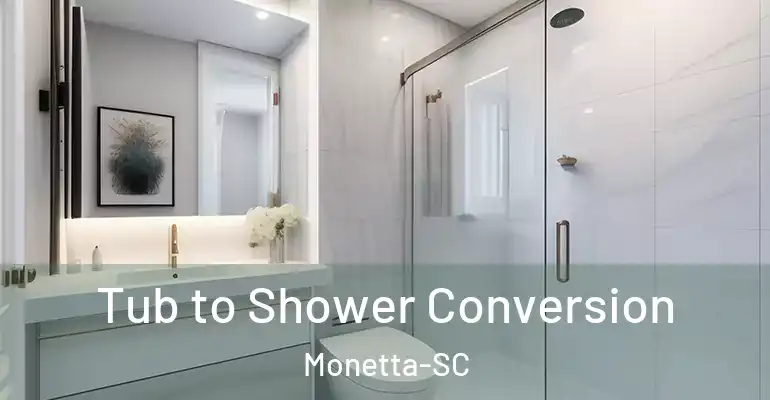 inner Bathroom imggen Tub to Shower Conversion Monetta-SC