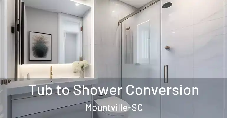 inner Bathroom imggen Tub to Shower Conversion Mountville-SC
