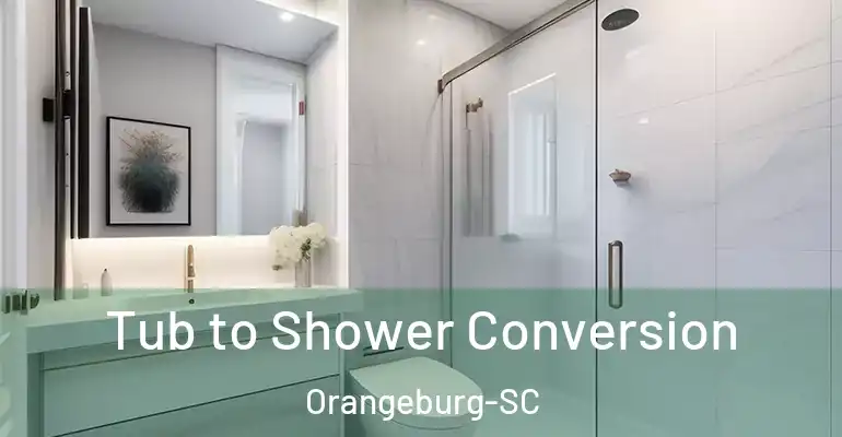 inner Bathroom imggen Tub to Shower Conversion Orangeburg-SC