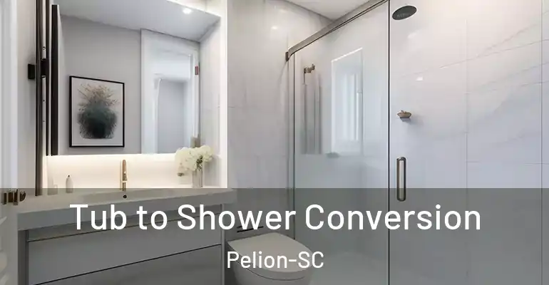 inner Bathroom imggen Tub to Shower Conversion Pelion-SC