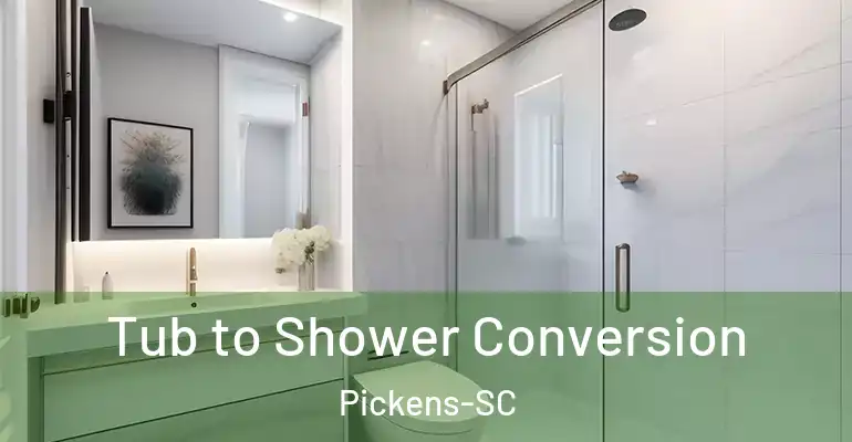 inner Bathroom imggen Tub to Shower Conversion Pickens-SC