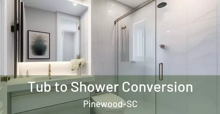 inner Bathroom imggen Tub to Shower Conversion Pinewood-SC