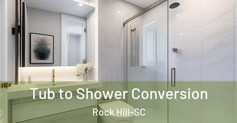 inner Bathroom imggen Tub to Shower Conversion Rock Hill-SC