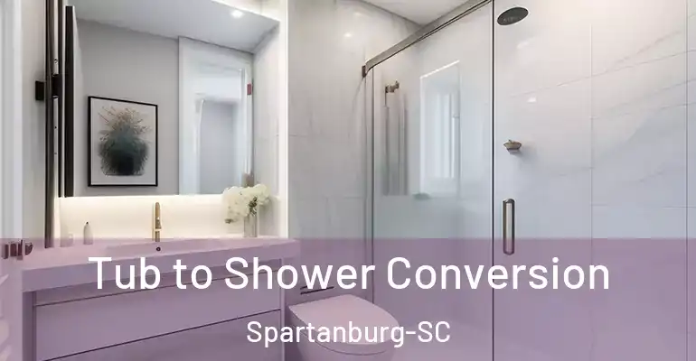 inner Bathroom imggen Tub to Shower Conversion Spartanburg-SC