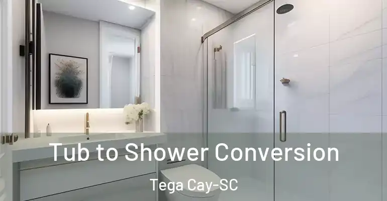 inner Bathroom imggen Tub to Shower Conversion Tega Cay-SC