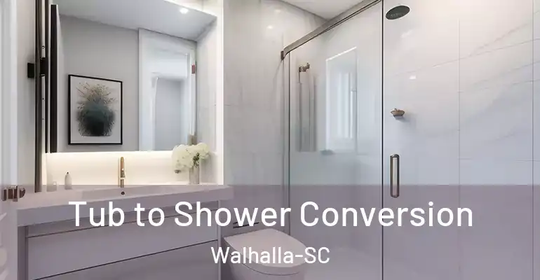 inner Bathroom imggen Tub to Shower Conversion Walhalla-SC