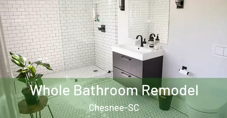 inner Bathroom imggen Whole Bathroom Remodel Chesnee-SC