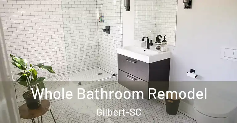 inner Bathroom imggen Whole Bathroom Remodel Gilbert-SC