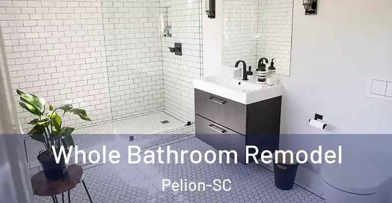 inner Bathroom imggen Whole Bathroom Remodel Pelion-SC