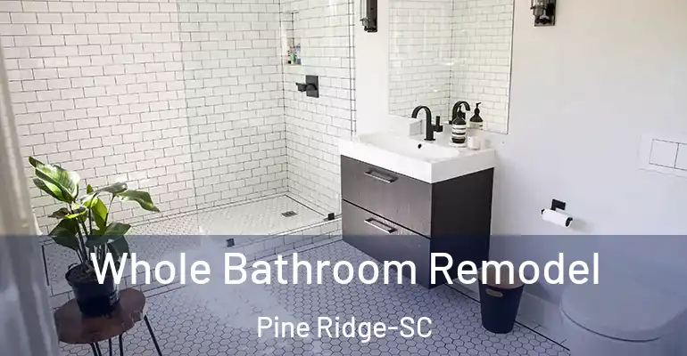 inner Bathroom imggen Whole Bathroom Remodel Pine Ridge-SC